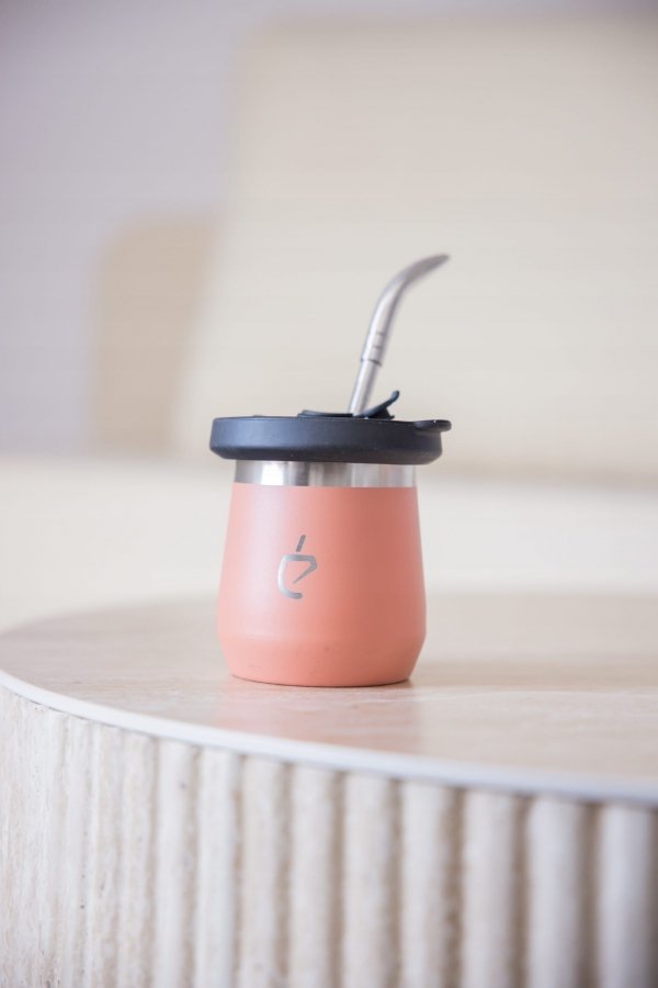 REWOLUCYJNY zestaw do yerba mate Termolid DualFlow PRO: matero, bombilla