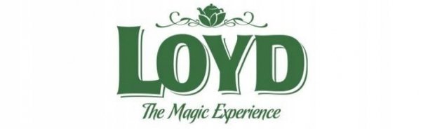 Ekspresowa Herbata Owocowa Prawdziwy Rooibos Pomarańcza Cynamon 20T LOYD