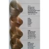 ALLWAVES FARBA DO WŁOSÓW 100ML 4.22 CZARNA JAGODA