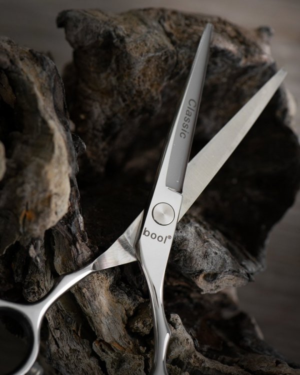 Bool Classic nozyczki fryzjerskie etui srebrne 5,5