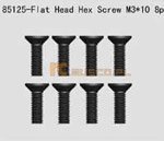 Flat Head Screw 3*10 8P