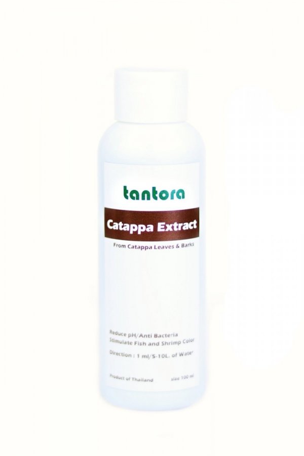 Tantora Cattapa Extract 100ml wyciąg z ketapangu
