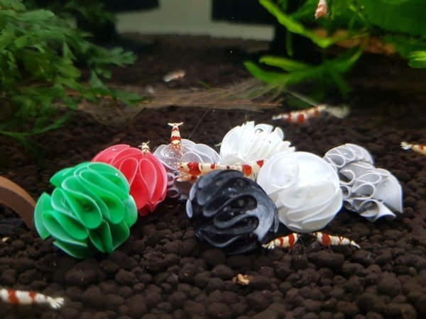 Baby Shrimp Shelters Biały 1 szt super schronienie