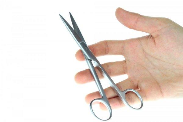 Nożyczki Akwarystyczne Proste 26 Cm Precyzyjne Jakość