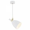LAMPA WISZĄCA SPOT REFLEKTOR BIAŁO ZŁOTA DO SALONU KUCHNI SYPIALNI CHARLOTTE 4684