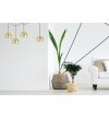 Lampa wisząca typu pająk, 4 klosze szklane złote kule 15 cm, E27 LIGHT HOME