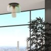 TK LIGHTING MARCO GREEN 3318 LAMPA SUFITOWA PLAFON Z KOLOROWYMI KLOSZAMI KOLOROWE KLOSZE