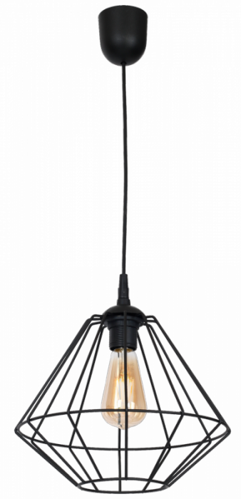 Lampa wisząca COLIN BLACK 1xE27