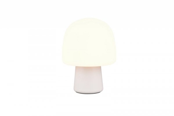 STEEN 568200176