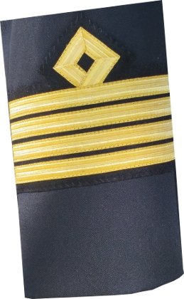 dystynkcja naszyta na rękawie