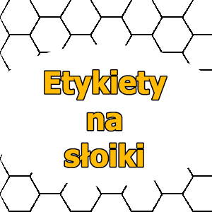 Apitec.pl 