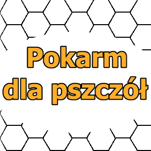 Apitec.pl 