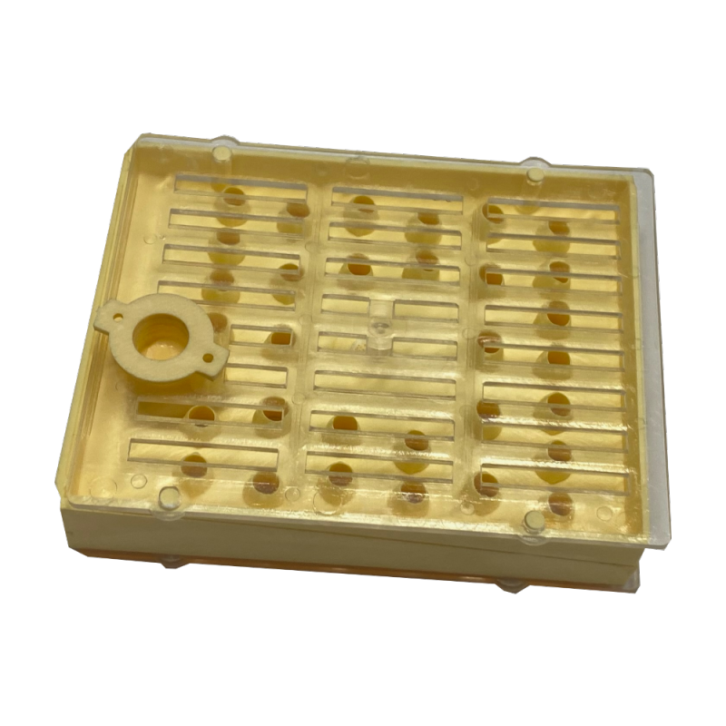 Queen rearing system with 32 holes (QRS_32) Nicot method