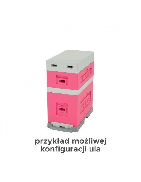 6-frame hive - Dadant - painted (pink - gray)