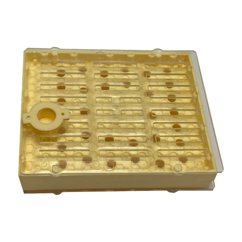 Queen rearing system with 32 holes (QRS_32) Nicot method