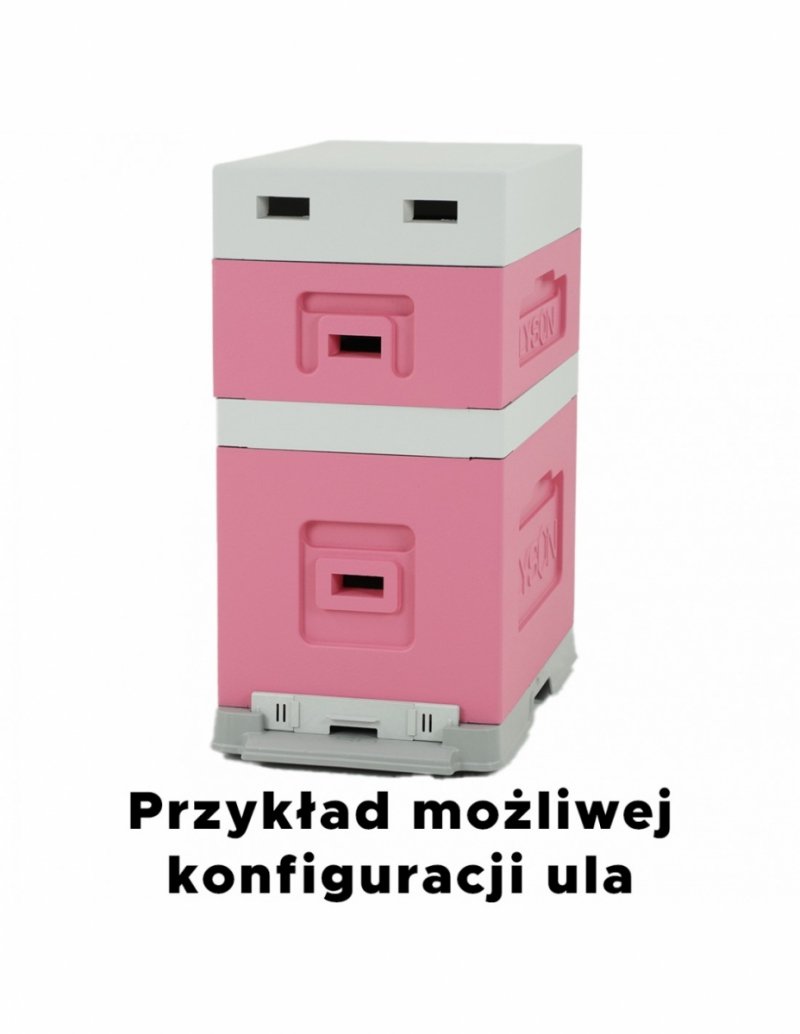 6-frame hive - Wielkopolski - painted with a frame - green
