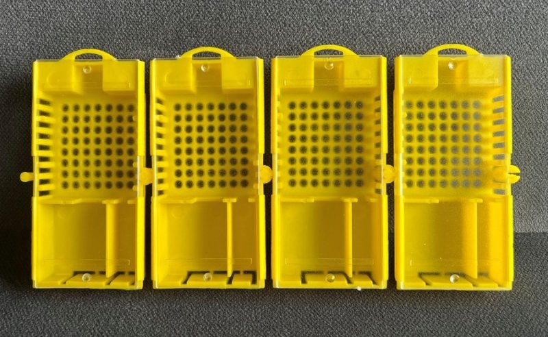 Klateczka wysyłkowa do matek komplet 100szt (wzór 1)