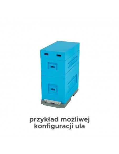 Ul 6-ramkowy z wręgami - Dadant - malowany (niebieski)