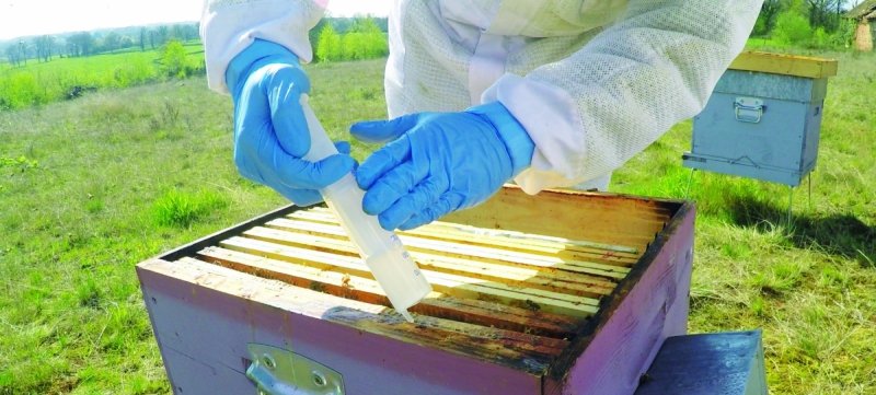 OXYBEE® – lek OTC do zwalczania warrozy 1kg