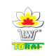 Toraf