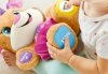 SIOSTRZYCZKA SZCZENIACZKA PL FISHER PRICE FPP63 