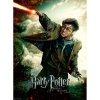 Puzzle Harry Potter Magia XXL 100 el. Ravensburger 128693