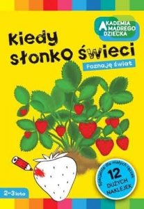 Kiedy słonko świeci Kolorowanka 12 Naklejek Akademia