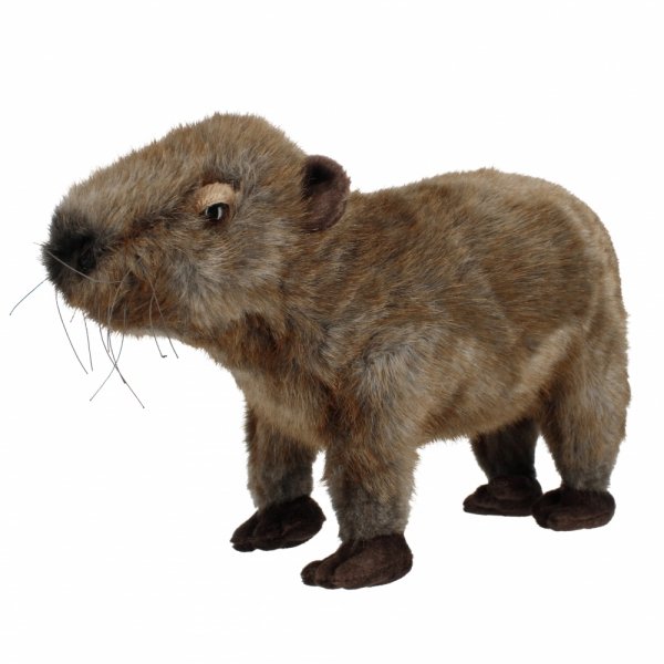 Kapibara 33 cm Maskotka pluszak Beppe 13993