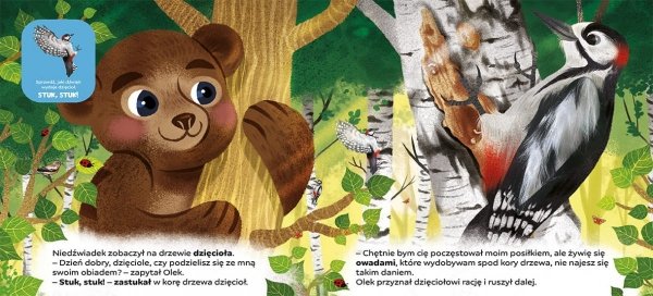 Dotykamy i słuchamy W lesie Niedźwiadek Olek jest głodny