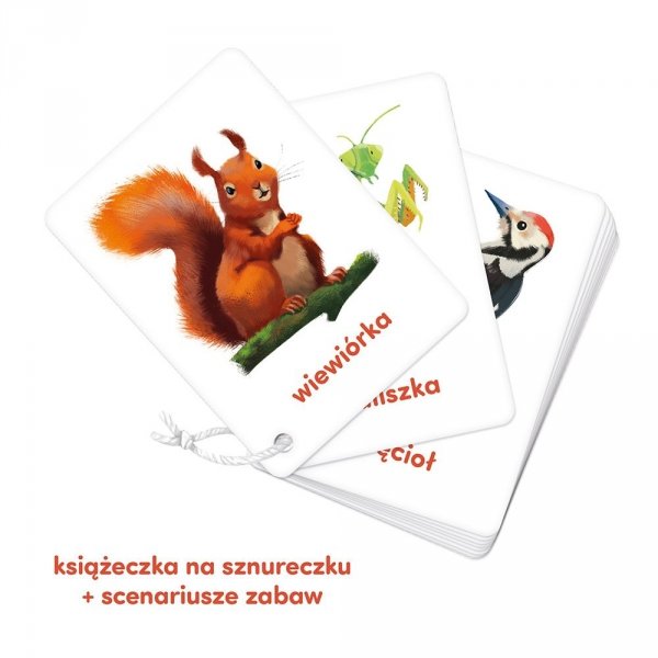 CzuCzu Karty obrazkowe na sznurku Zwierzęta
