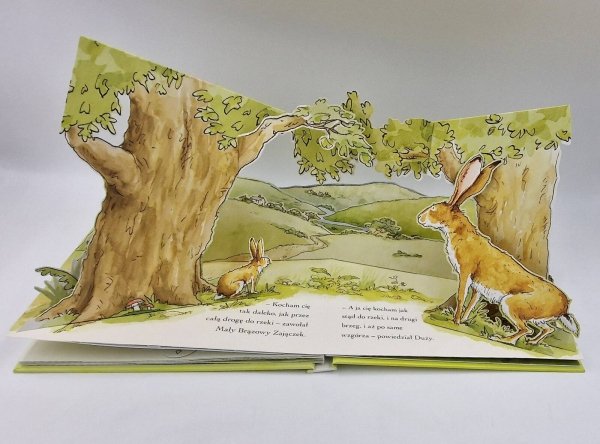 Nawet nie wiesz jak bardzo Cię kocham Pop-up