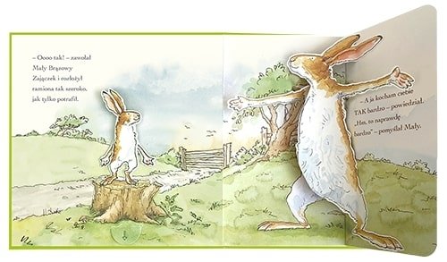 Nawet nie wiesz jak bardzo Cię kocham Pop-up książka przestrzenna