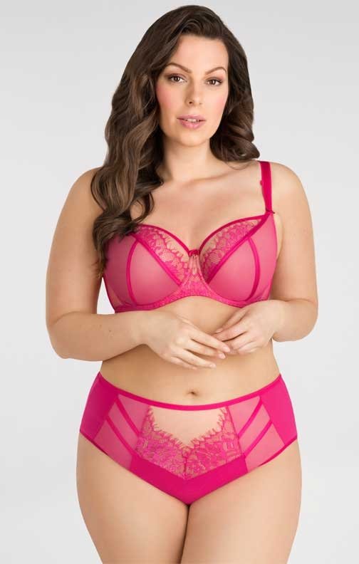 Brazyliany amarantowe Gorsenia K498/1 