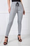 Spodnie Dresowe Model RV-DR-5465.09X Grey - BFG