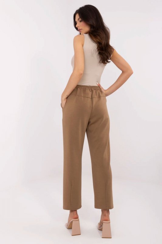 Spodnie Dresowe Model DHJ-SP-20523.66P Light Brown - Italy Moda