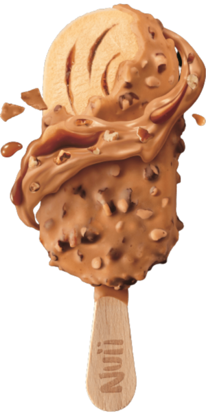 9421 NUII ice cream Caramel White Chocolate &amp; Texan Pecan 20x90ml