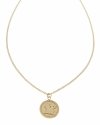 GOLDEN CHAIN CELEBRITY NÁHRDELNÍK NEREZ