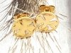 goldene Ohrringe aus Edelstahl