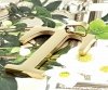 gold pendant stainless steel