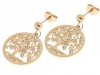 EARRINGS SILVER STAINLESS STEEL CELEBRITY