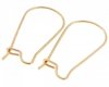 2X GOLD EARRING EARRINGS SURGICAL STEEL
