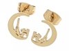 gold earrings made of stainless steel