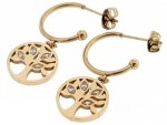 EARRINGS SILVER STAINLESS STEEL CELEBRITY