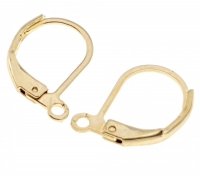 3946 2x Złote bigle stal chirurgiczna do kolczyków 