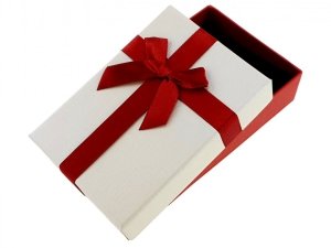 schmuckschatulle ohrringe ring halskette