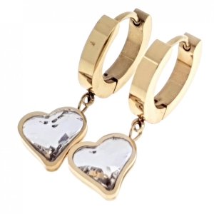 EARRINGS SILVER STAINLESS STEEL CELEBRITY