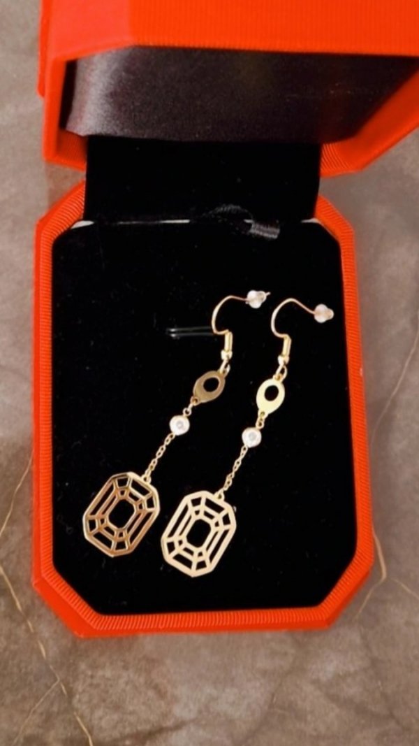 goldene Ohrringe aus Edelstahl