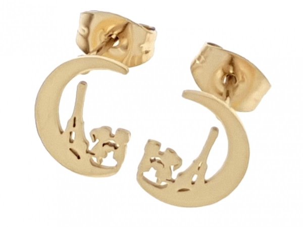gold earrings made of stainless steel