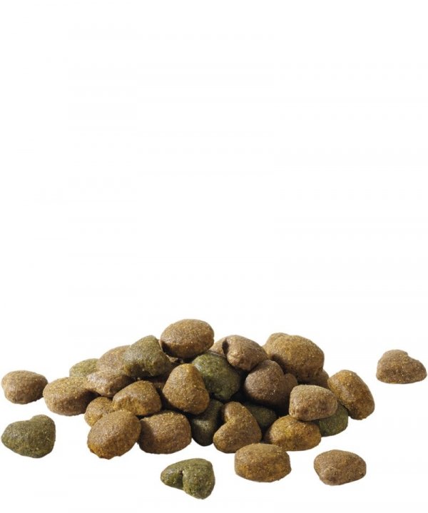 ADULT CHICKEN ENERGY 15kg - wysokoenergetyczna karma dla dorosłych, aktywnych psów (z kurczakiem)