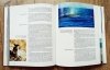 Jacques Yves Cousteau The Ocean World